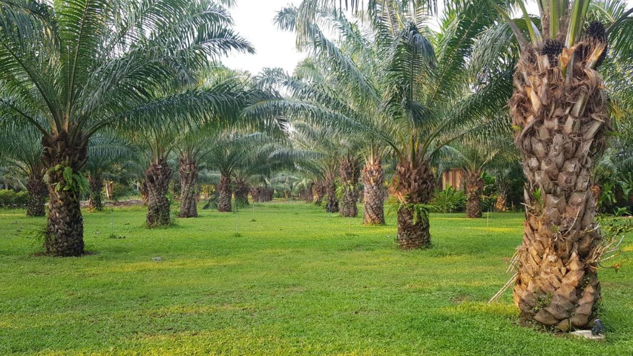 Palm Pran Resort Pran Buri Exterior photo